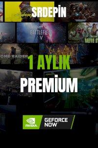 GEFORCE 1 AYLIK 