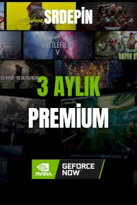 GEFORCE 3 AYLIK 