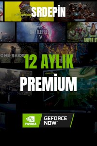 GEFORCE 12 AYLIK 