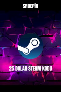 STEAM 25 USD 