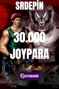 WOLFTEAM 30000 JOYPARA 