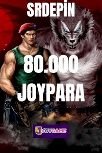 WOLFTEAM 80000 JOYPARA 