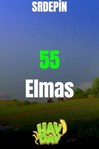 HAYDAY 55 ELMAS 