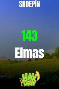 HAYDAY 143 ELMAS 