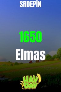 HAYDAY 1650 ELMAS 