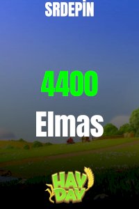 HAYDAY 4400 ELMAS 